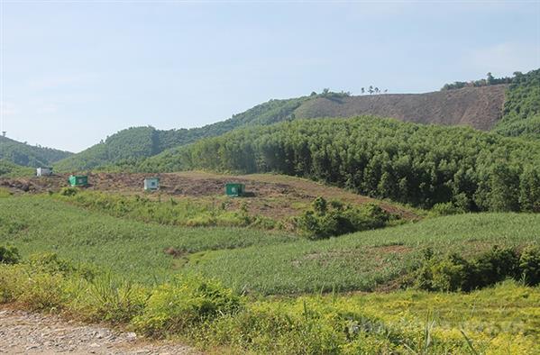 Xử lý dứt điểm các trường hợp lấn chiếm rừng và đất lâm nghiệp. Ảnh minh họa. Ảnh: Lê Xưa. Xử lý dứt điểm các trường hợp lấn chiếm rừng và đất lâm nghiệp. Ảnh minh họa. Ảnh: Lê Xưa.